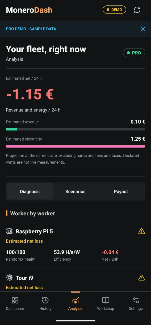 Pro analysis: estimated 24 h net, revenue and electricity, worker-by-worker diagnosis